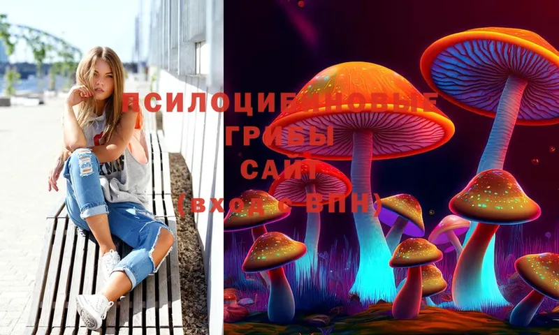 Псилоцибиновые грибы MAGIC MUSHROOMS  что такое наркотик  Арск 